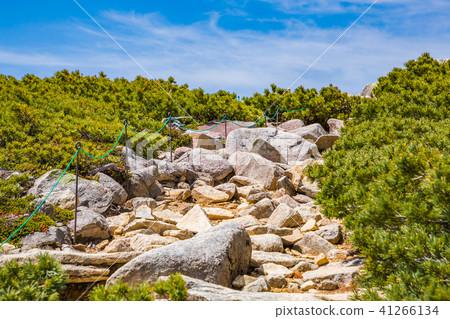 一座新鮮的綠色山脈和一條山路 41266134