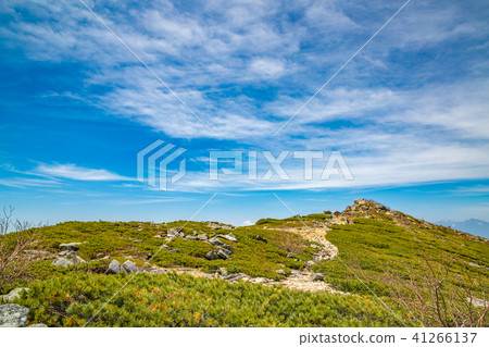 A mountain of fresh green and a mountain trail A mountain of fresh green and a mountain trail 41266137