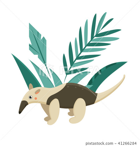 cute anteater