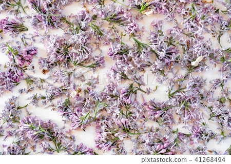 dried lilac flowers dried lilac flowers 41268494