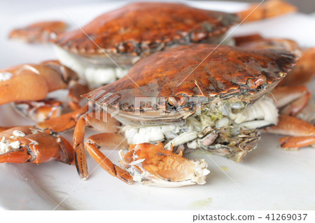 boiled stone Crab raw shell animal gourmet food re 41269037