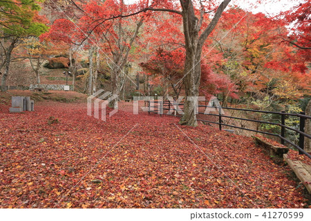 Kasayama山公園 Kasayama山公園 41270599