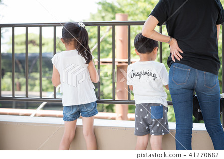 Families looking at animals Families looking at animals 41270682