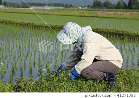 一名女性女工 41271388