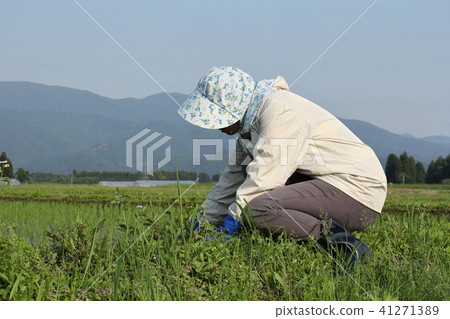 一名女性女工 41271389