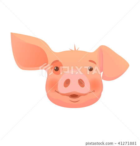 head of pink pig head of pink pig 41271881