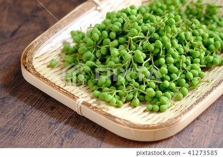 花椒 花椒 41273585