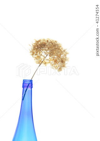 乾花八仙花屬在一個藍色瓶的 乾花八仙花屬在一個藍色瓶的 41274554