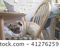 Puppy pug dog sleeping with pillow on wooden chair 41276259