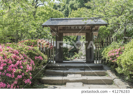 Jojiji Temple gate (Kamakura-shi Yamanouchi) Jojiji Temple gate (Kamakura-shi Yamanouchi) 41276283