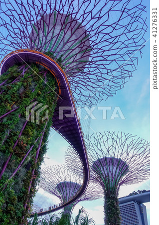 Singapore Singapore 41276331