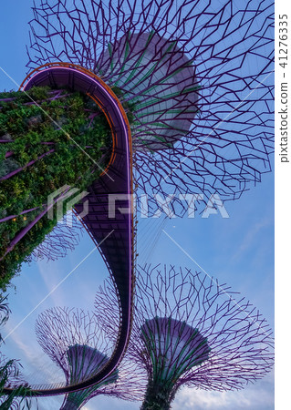 Singapore Singapore 41276335