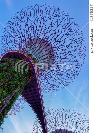 Singapore 41276337
