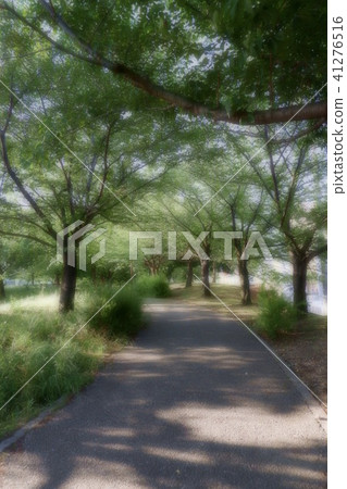 綠茵 綠茵 41276516