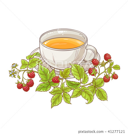 raspberry tea illustration raspberry tea illustration 41277121