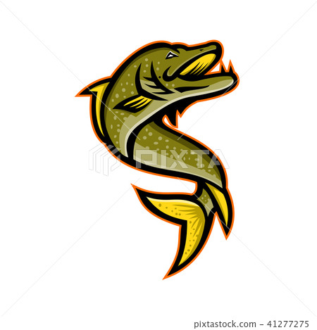 Northern Pike Sports Mascot Northern Pike Sports Mascot 41277275