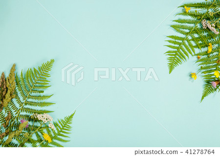 Wild and Healing herbs concept 41278764