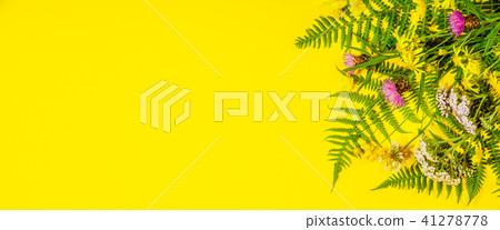 Wild and Healing herbs concept 41278778