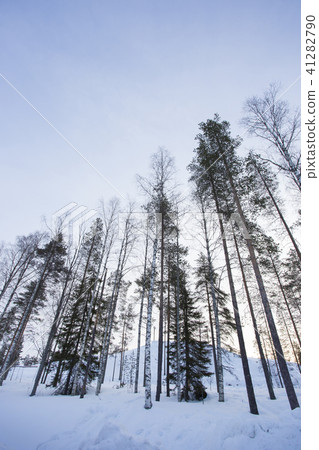 Snowscape Finland Rovaniemi 41282790