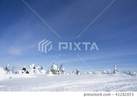 Snowscape Finland Rovaniemi 41282853