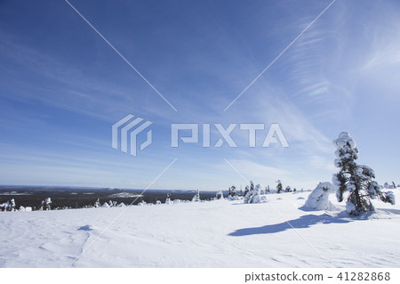 雪景和藍天芬蘭羅瓦涅米 雪景和藍天芬蘭羅瓦涅米 41282868
