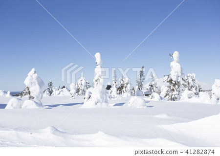 Snowscape and blue sky Finland Rovaniemi 41282874