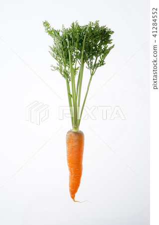 Leafed ginseng Leafed ginseng 41284552