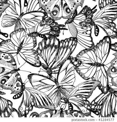 Collection of Hand Drawn black silhouette butterflies. Vector illustration in vintage style. High Collection of Hand Drawn black silhouette butterflies. Vector illustration in vintage style. High 41284577