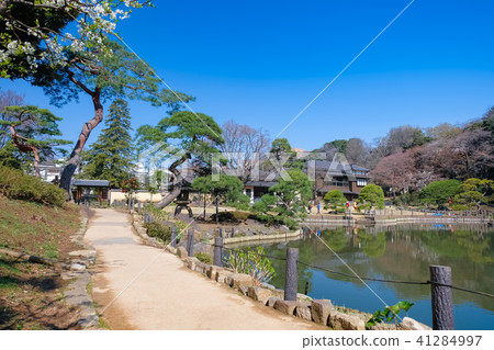 Higo Hosokawa garden 41284997