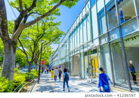 Scenery of Tokyo Harajuku Omotesando 41286597