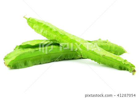 Green winged beans Green winged beans 41287054