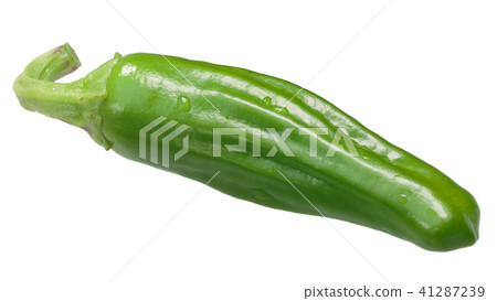 Padron pepper c. annuum, whole pod 41287239