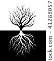 Silhouette of a tree and its roots. 41288057