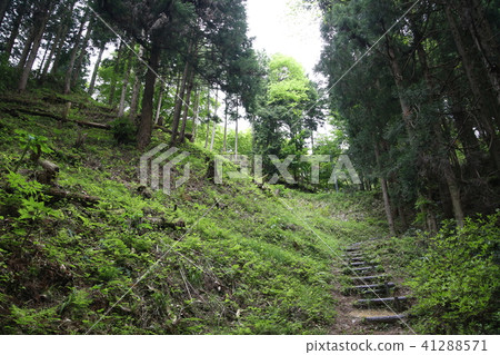 Misawa castle ruins (Ninja Flag Misawa castle) 41288571