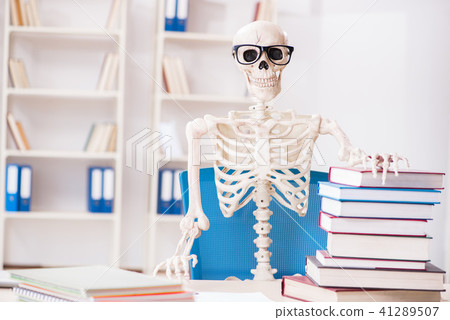 Student skeleton preparing for exams 41289507