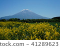 富士山 41289623