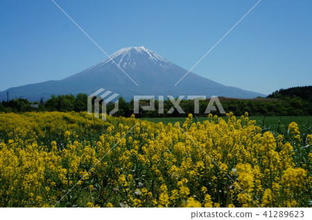 富士山 富士山 41289623