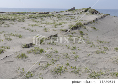 Nakadashima sand dune 41289634