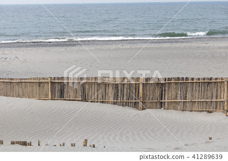 Nakadashima sand dune 41289639