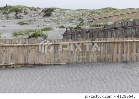 Nakadashima sand dune 41289643