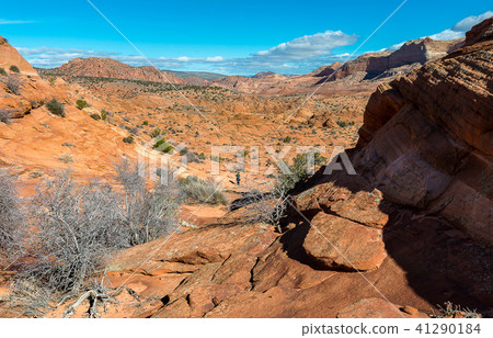 The Wave, Navajo Sandstone, Arizona 41290184