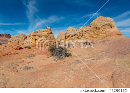 The Wave, Navajo Sandstone, Arizona 41290185