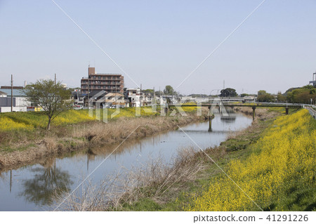 Shiba River seen from Zaike Bridge in spring (upstream side, Kawaguchi City, Saitama Prefecture) Shiba River seen from Zaike Bridge in spring (upstream side, Kawaguchi City, Saitama Prefecture) 41291226
