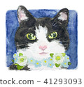 黑白貓和花 黑白貓和花 41293093