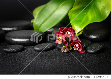 spa composition of zen stones, red mini orchid spa composition of zen stones, red mini orchid 41293595