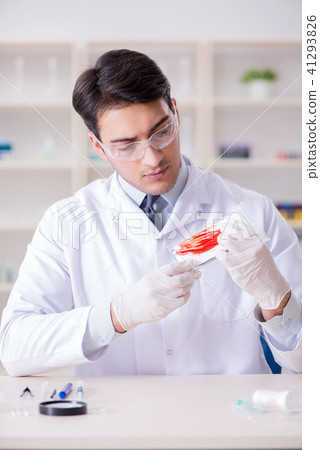 Expert criminologist working in the lab for evidence 41293826