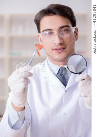 Expert criminologist working in the lab for evidence 41293841