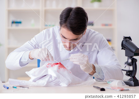 Expert criminologist working in the lab for evidence 41293857
