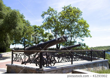 Guns like cannon 41293902