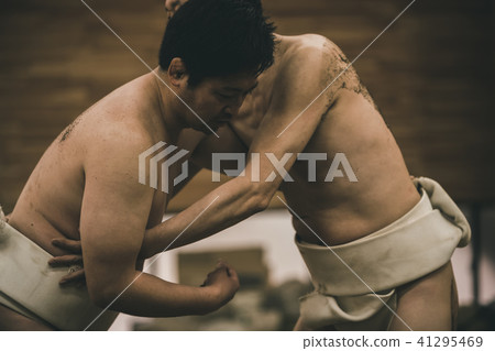 sumo, sumo wrestling, training 41295469